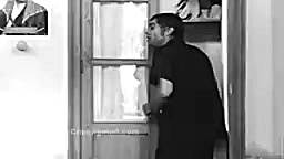 دیالوگ های درخشان  گوزن ها