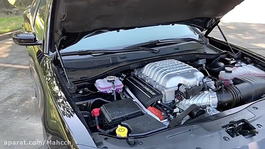 دوج هيلكت وقورشش