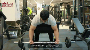 حرکات تمرینی بدنسازی  لاری هال...