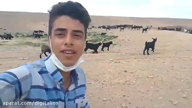 جوان خوش صدای دامدار