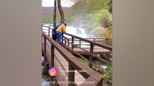 تصنیف از نگاه یاران به یاران ن...