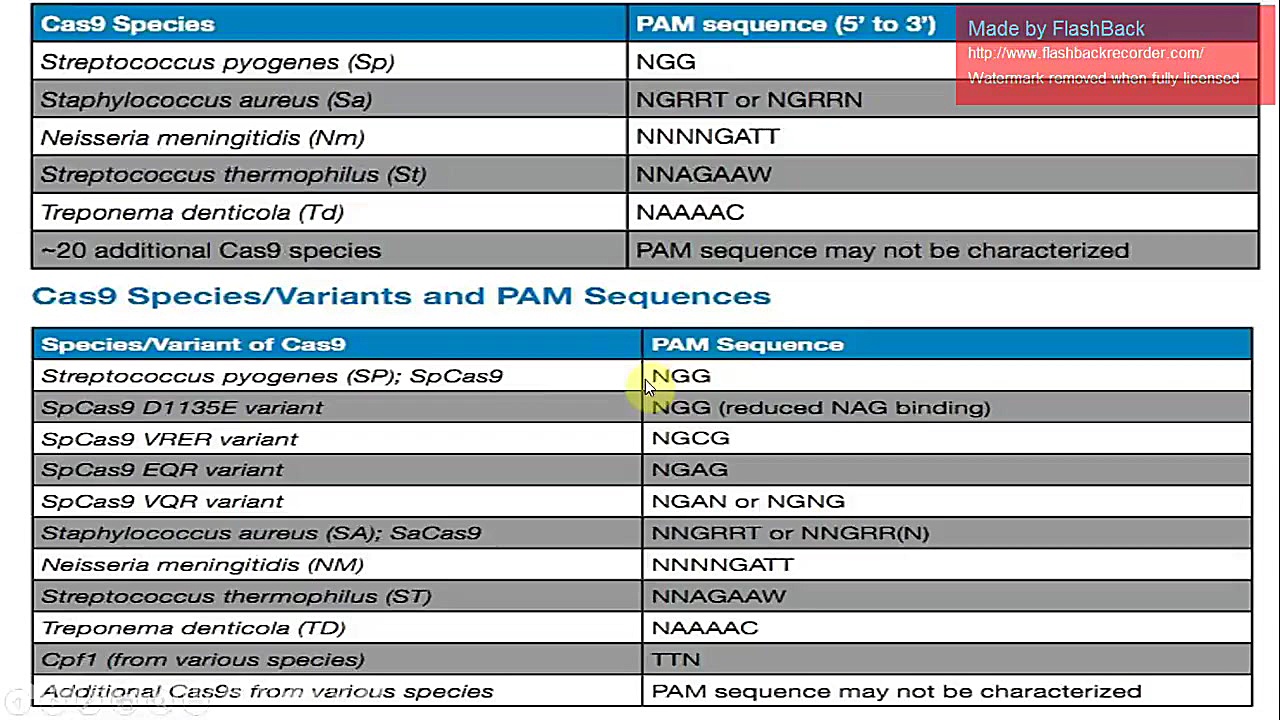 آموزش تکنیک کریسپر