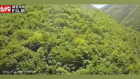 گردشگری مجازی در جنگل های زیبا...