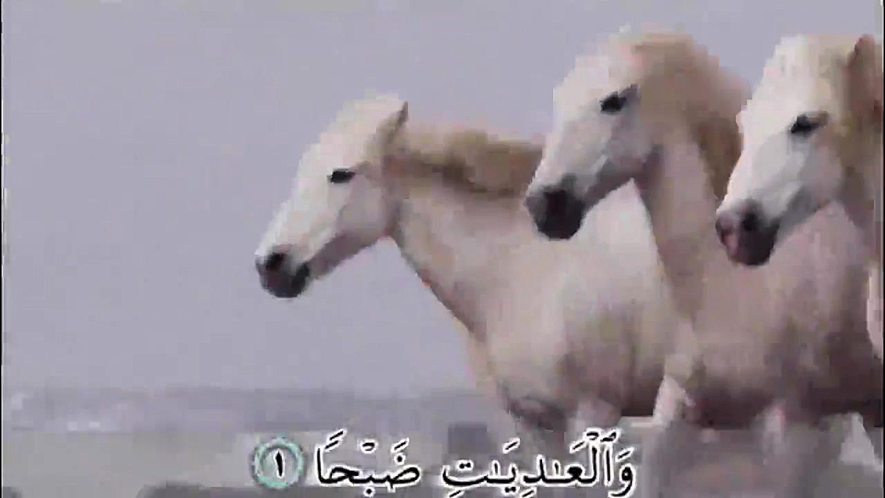 تلاوت سوره مبارکه عادیات