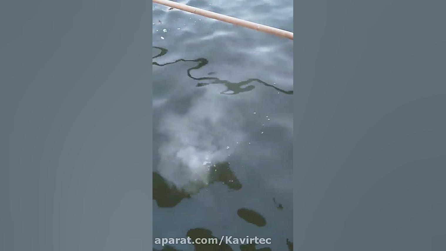 ژنراتور نانو حباب