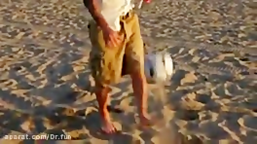 3 شوت خفن از دیویدبکهام