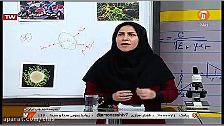 علوم تجربی پایه چهارم ۱۶اسفند