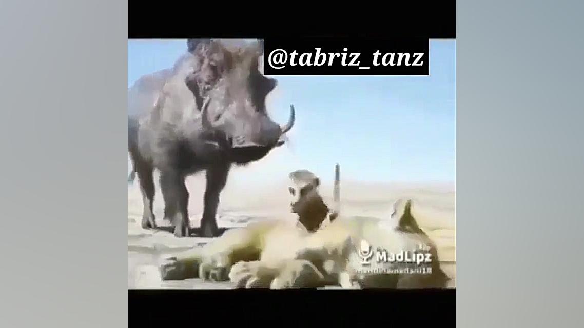 کرونا در همدان