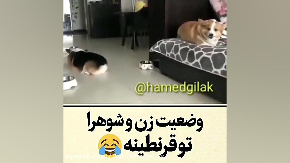 زن شوهرا تو قرنطینه(فالوشم لطف...