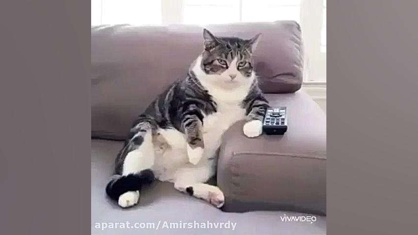 عکس های نوروز 99((فالوشم لطفاا...