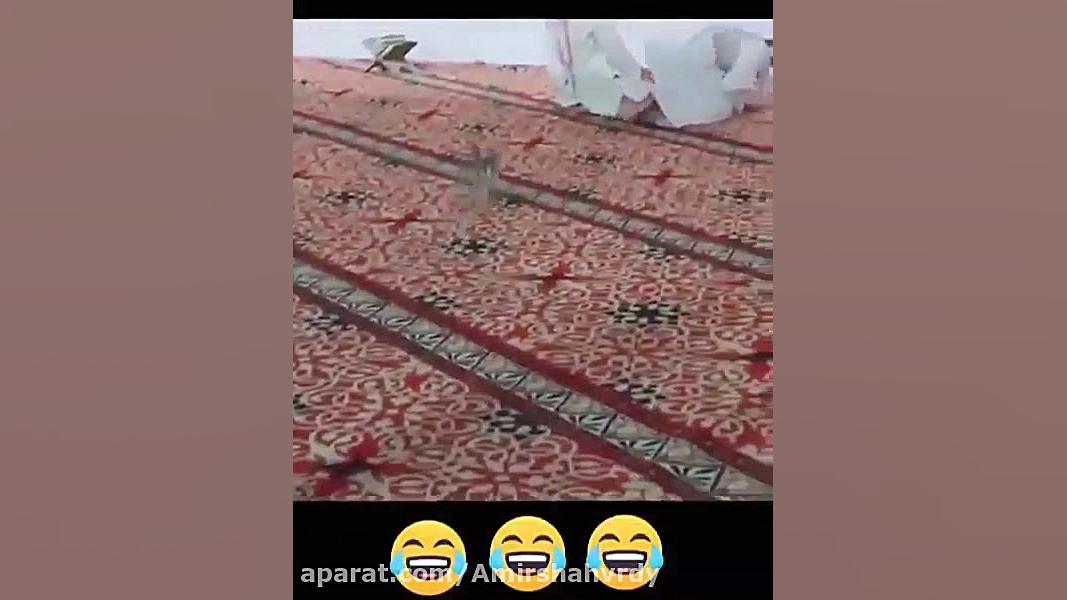 قشنگ ریدن(فالوشم لطفااا)