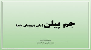 تحلیل سهم جم پیلن