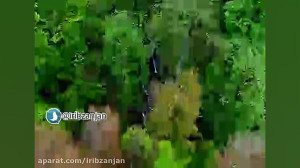 موسیقی تصویر زیبا