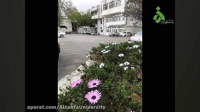 بهار گلها در دانشگاه الزهرا(س)