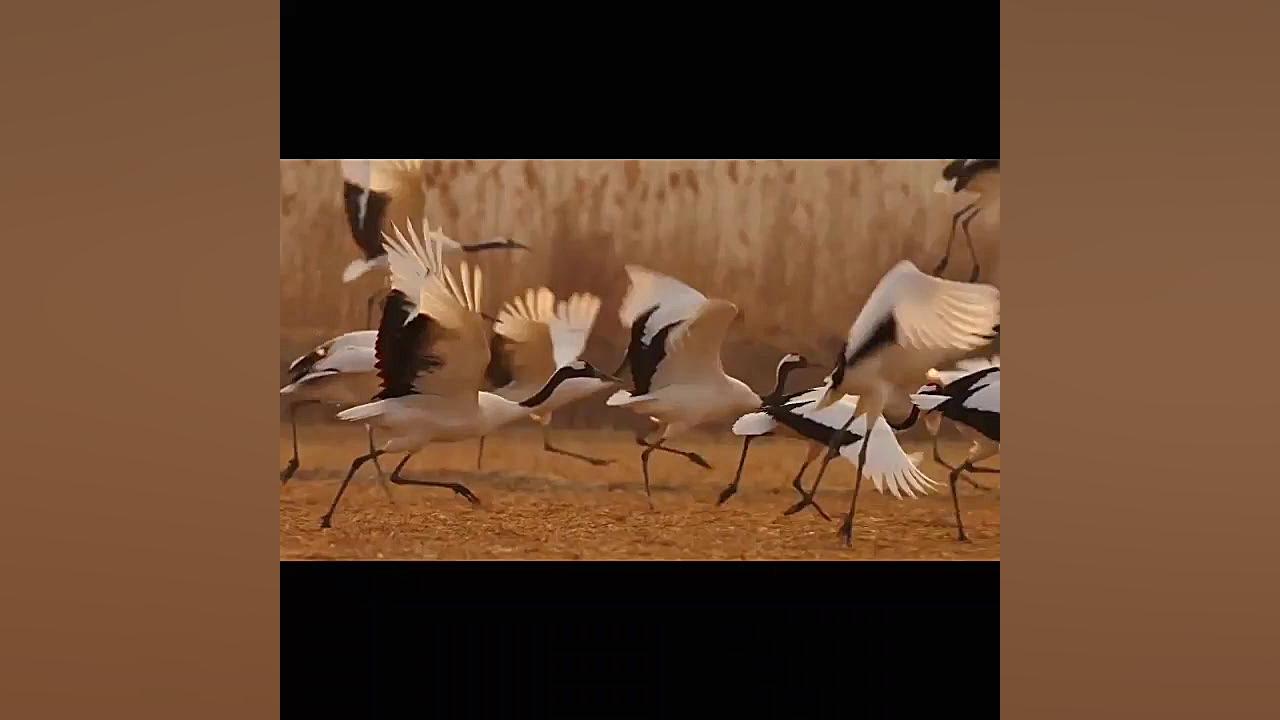 به نام خداوند بخشنده مهربان