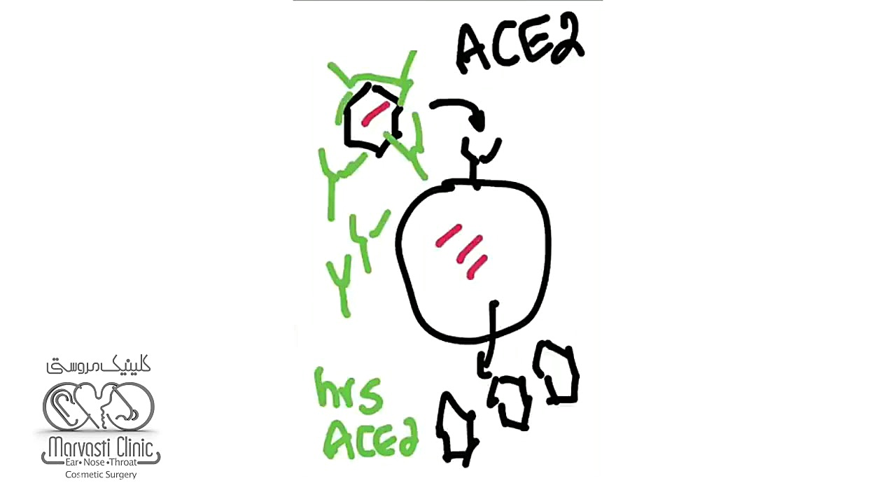 داروی جدید برای مبارزه با ویرو...