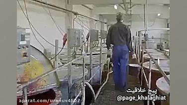 خط تولید بادکنک