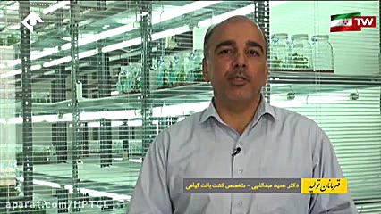 کشت بافت گردو