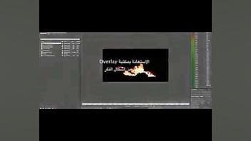 آیا خلبان اردنی واقعا سوزانده...