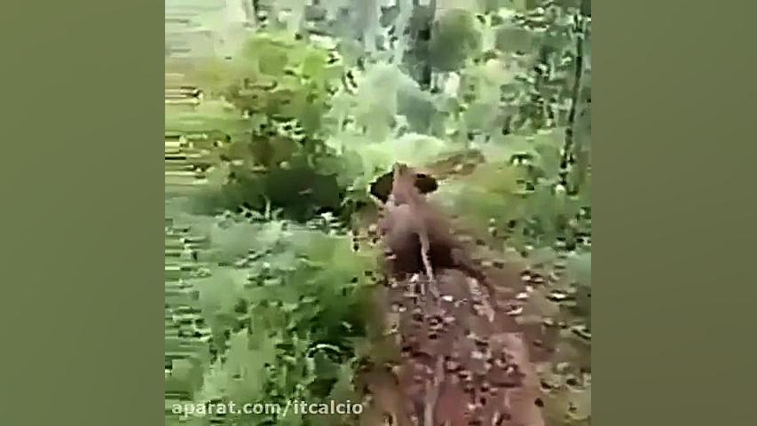 ایستگاه خنده................دن...