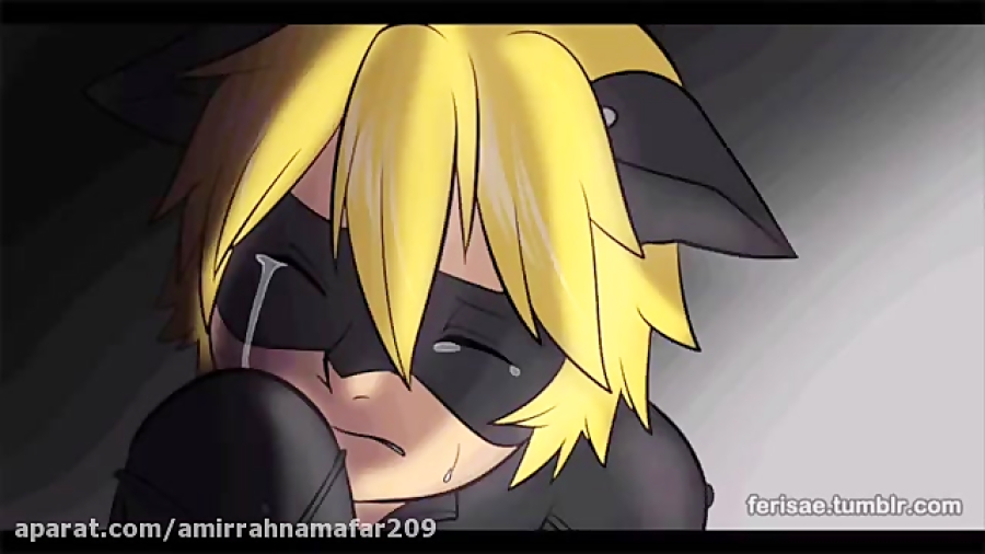 مرگ لیدی باگ