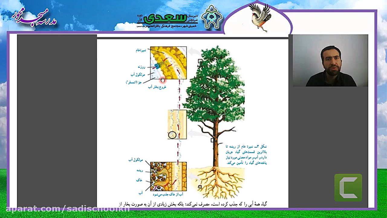 درس علوم (پایه نهم)  فصل 12  د...