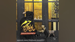 دلتنگ حرم امام رضا هستم