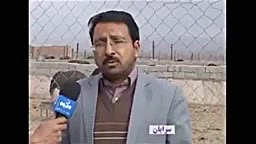 آموزش پرورش شتر مرغ