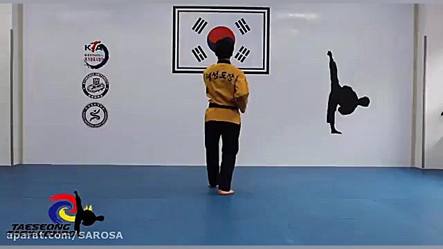 فرم ۲ تکواندو