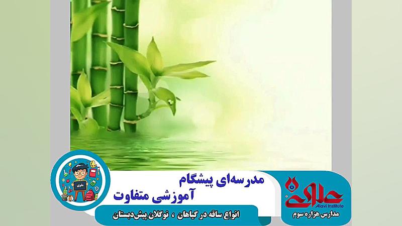 آموزش انواع ساقه در گیاهان به...