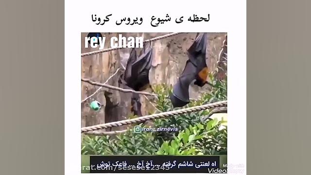 لحظه شیوع ویروس کرونا !