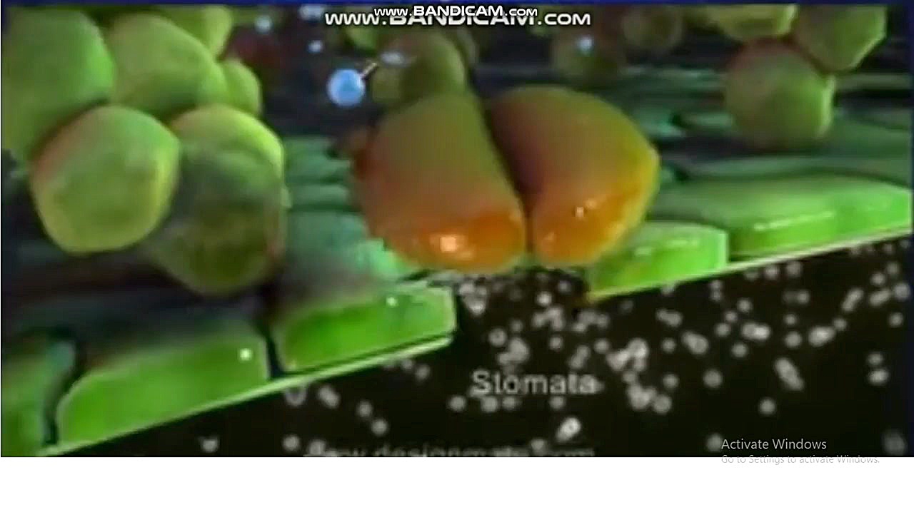 فیلم آموزشی علوم نهم فصل 12 قس...