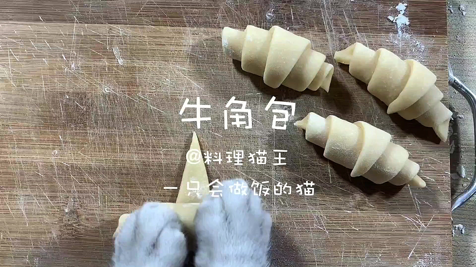 گربه آشپز ۷