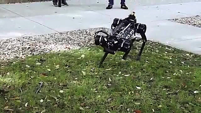 رباتی که بدون چشم نیز همه کار...