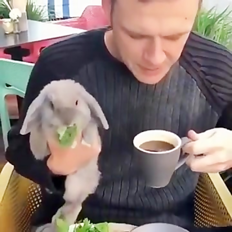 اینم چندتا حیوان خانگی باحال و...