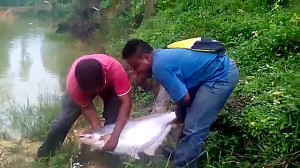 فیلم مستندبهترین طعمه ماهیگیری...