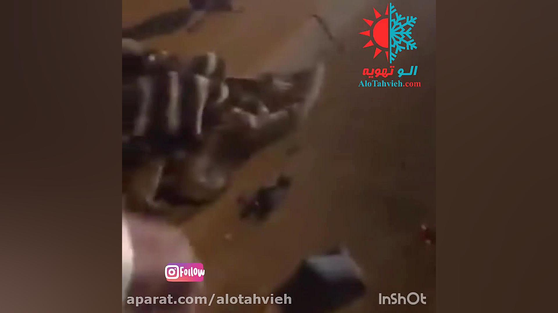 برخورد صاعقه توسط موبایل