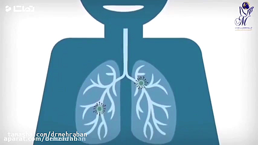 دانستنی های خیلی مهم در مورد و...