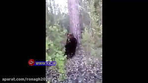 کلیپ وحشتناک و واقعی