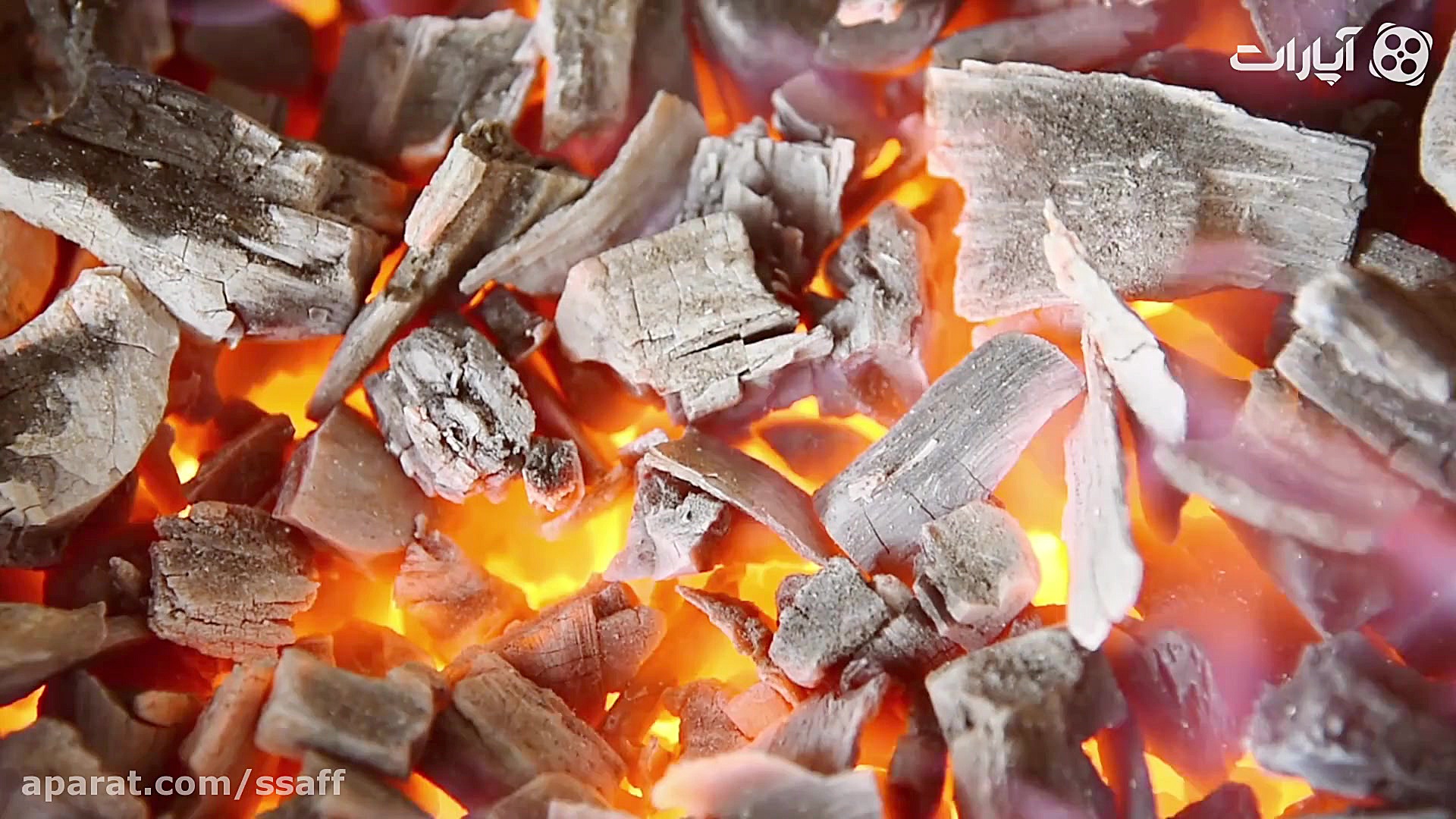 لحظه ها را دریاب | سپری محکم د...