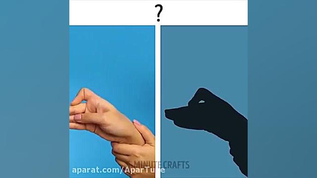 ویدیو  17 ترفند برای اموزش باز...