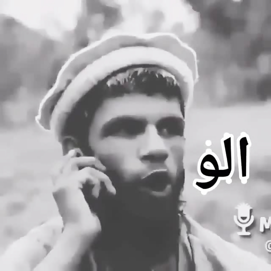 الو سلام وحید مرادی