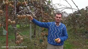 گزارشی از یک باغ هیجانانگیز ک...