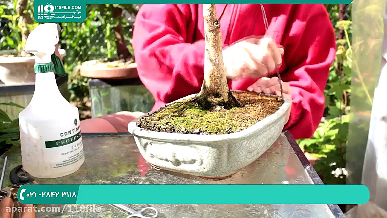 آموزش پرورش گل و گیاه آپارتمان...