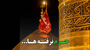تصاویر ناب کربلا برای شما حرم...