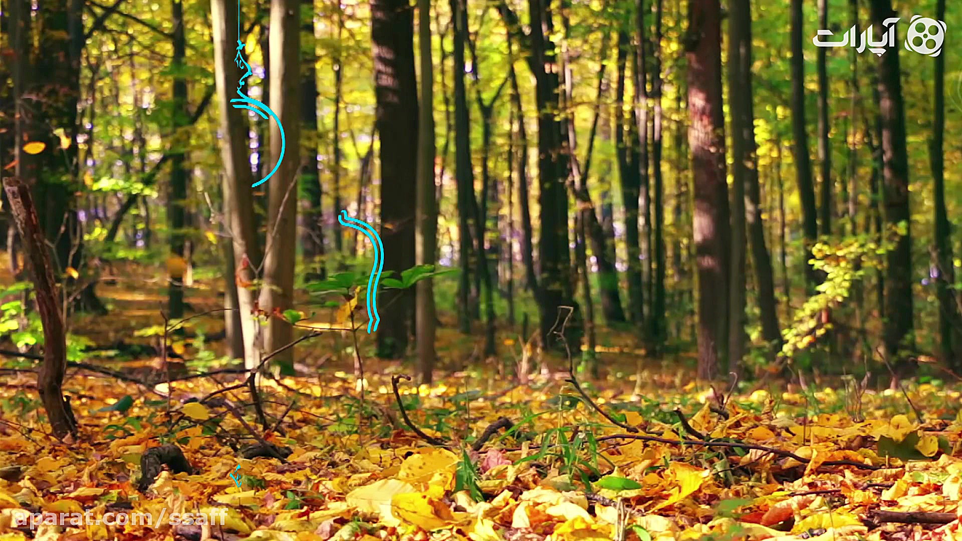 لحظه ها را دریاب | شادباش میلا...