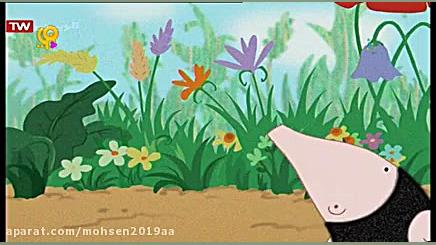 قسمت ۸۴  مول  شبکه پویا