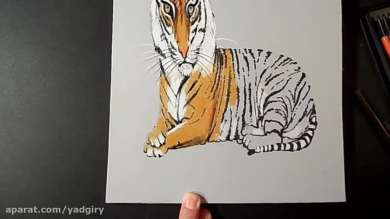 آموزش نقاشی سه بعدی ببر