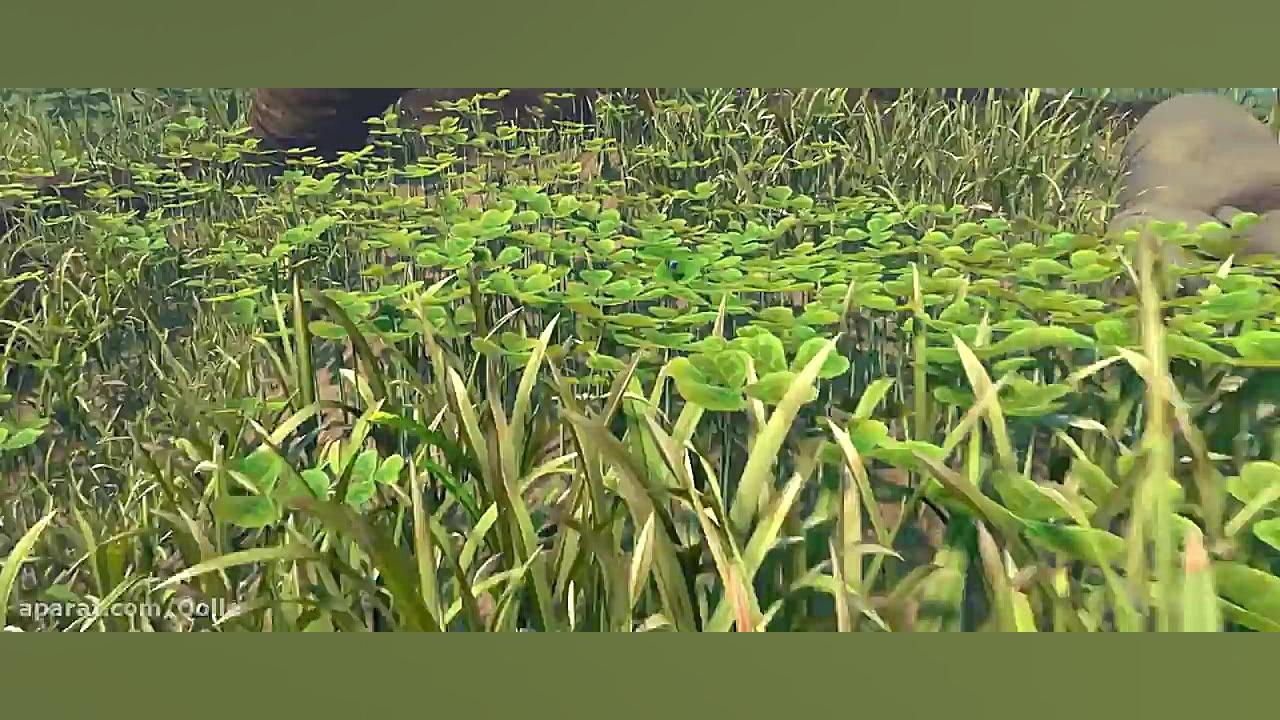 انیمیشن زندگی یک حشره A Bugs Life 1998 دوبله فارسی زمان5693ثانیه