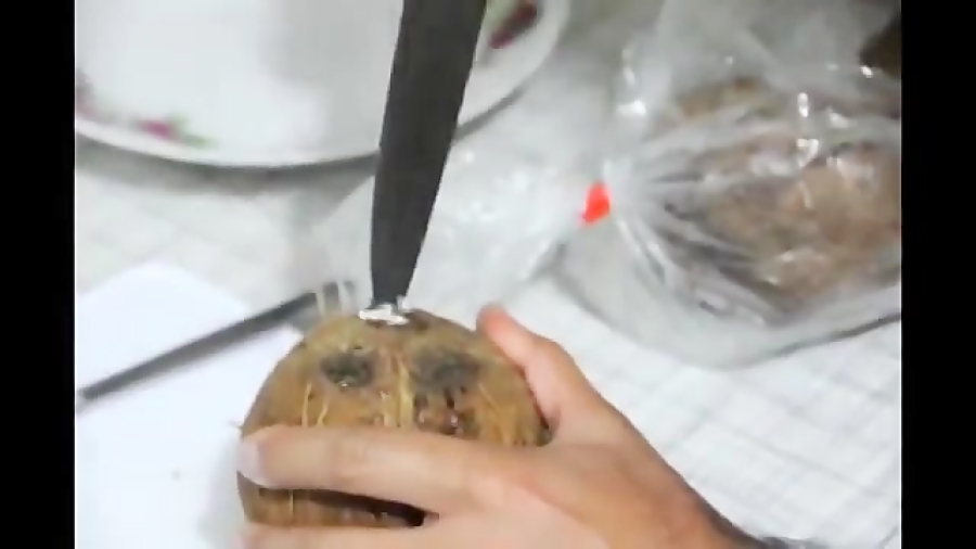 روش پوست کندن سریع نارگیل